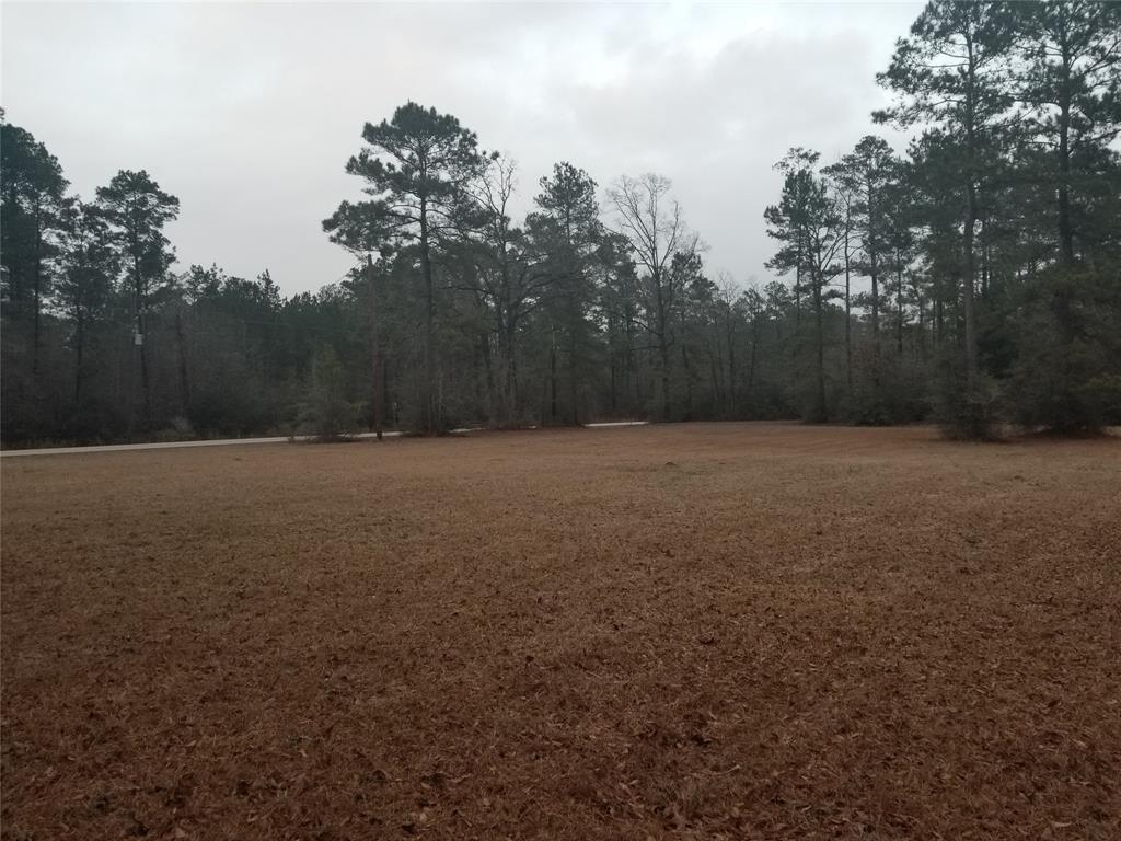 TBD County Road 4497 - Photo 1