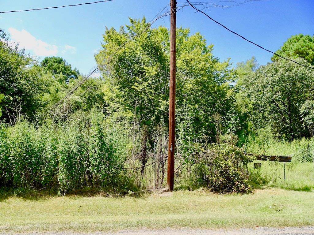 Lot 80 Andwood - Photo 1