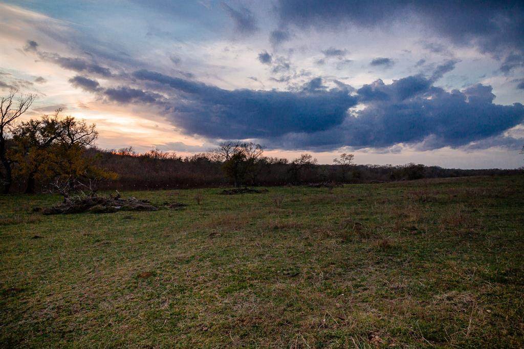 3505 Felder Road - Photo 1