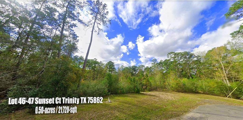Lot 46-47 Sunset Court - Photo 1