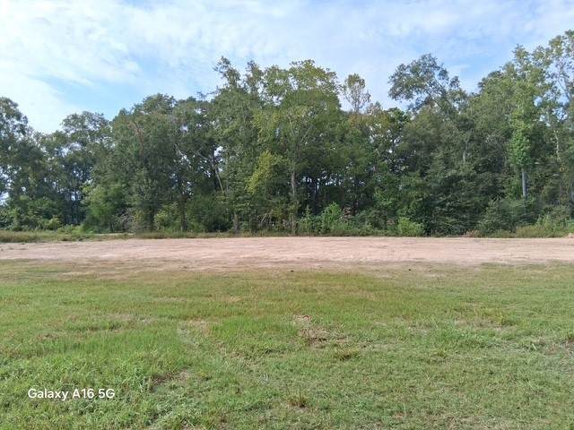 26514 Ruby Street - Photo 1