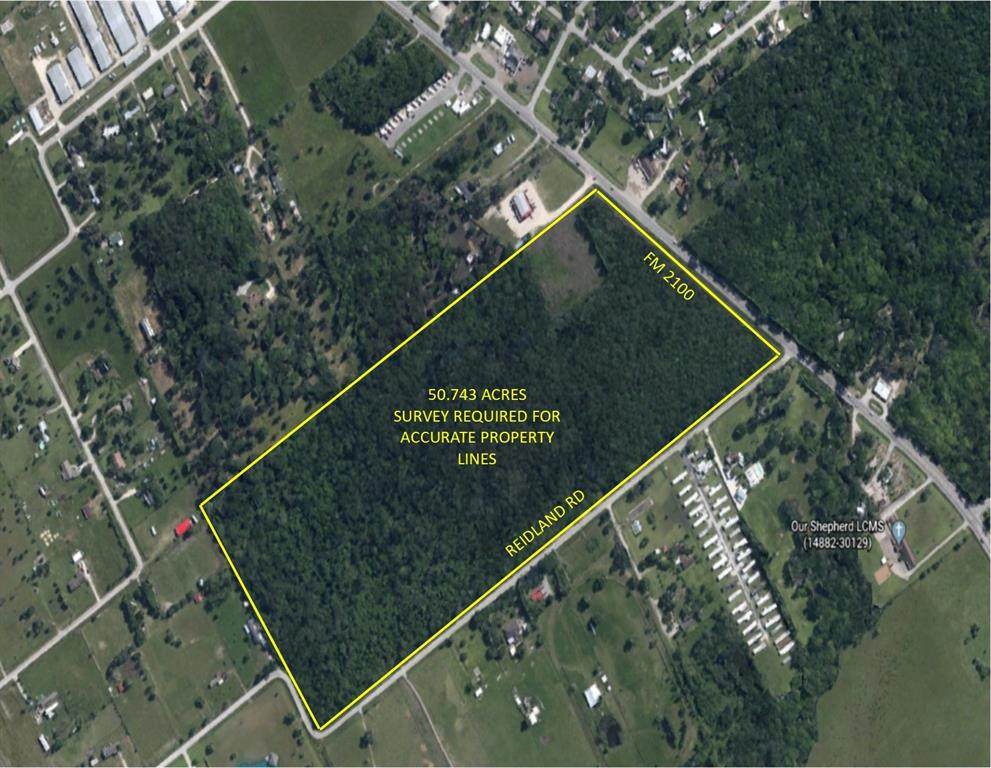 50.743 Acres Fm 2100 Road - Photo 1