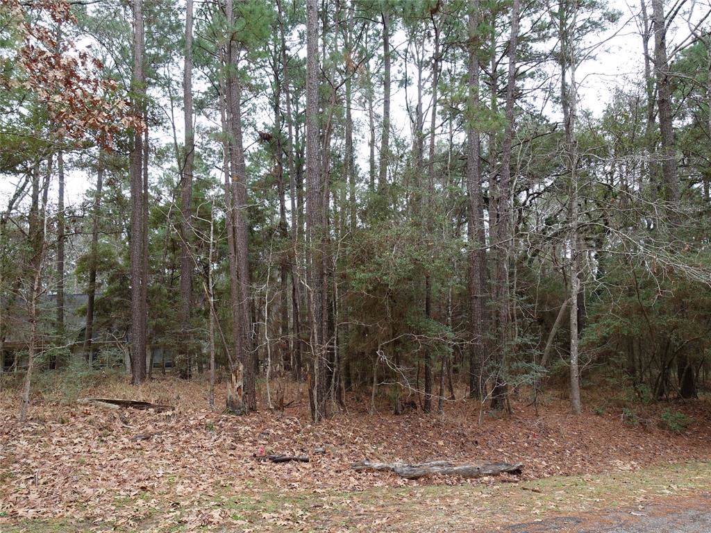 31 Green Tree Drive - Photo 1