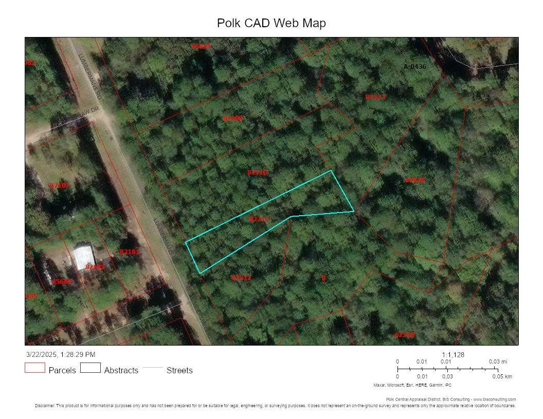 Lot 308 N/2 Lumbermans Road - Photo 1