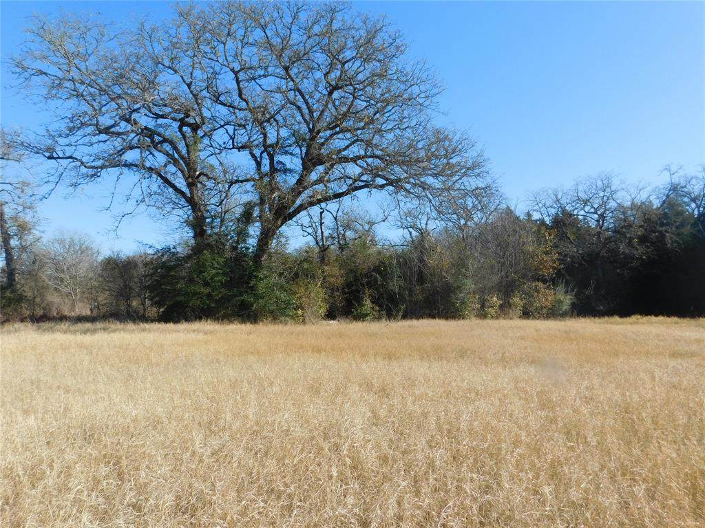 0 Smetana Road - Photo 1
