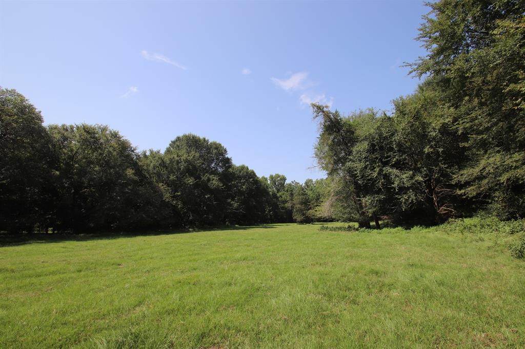 1199 Plum Road - Photo 1
