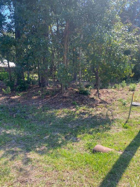 313 Maple Ln Lane - Photo 1