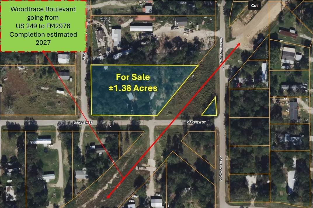 30002 Rosebud Street - Photo 1