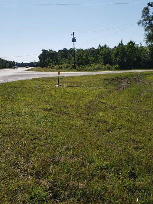 16478 Hickory Road - Photo 1