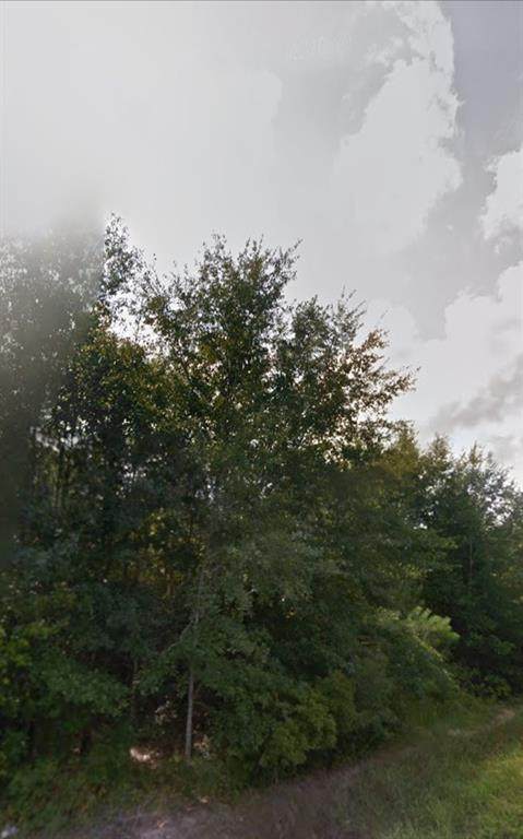 19243 Galaxy Blvd - Photo 1