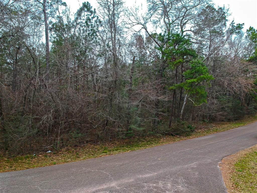 Lot 15 Magnolia Bend - Photo 1