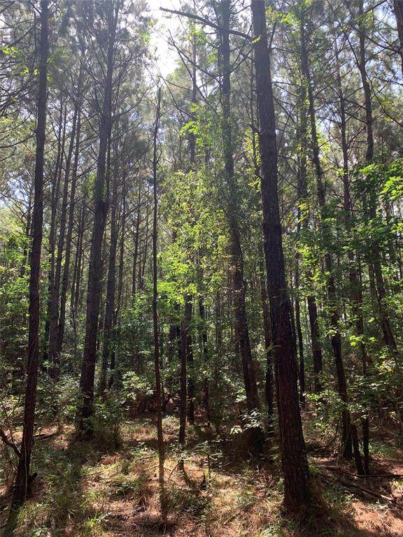 0 Easement Road - Photo 1