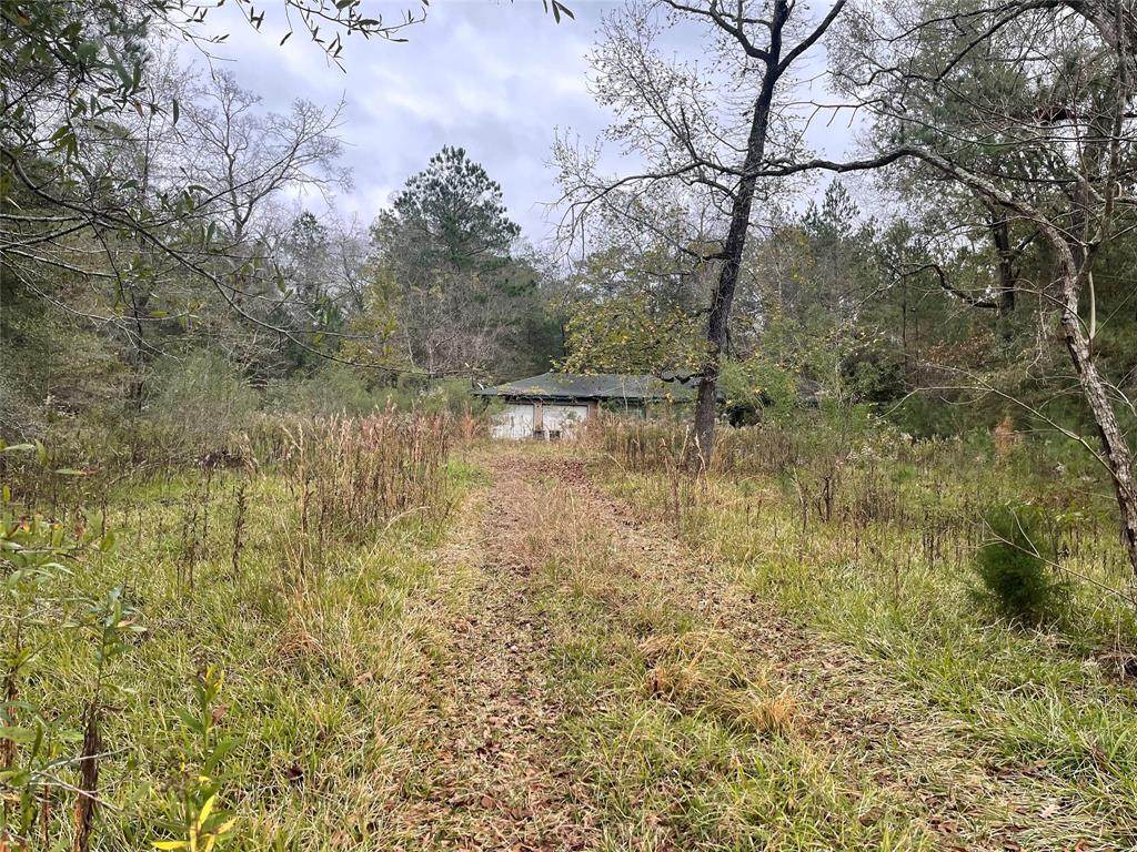 295 County Road 6492 - Photo 1