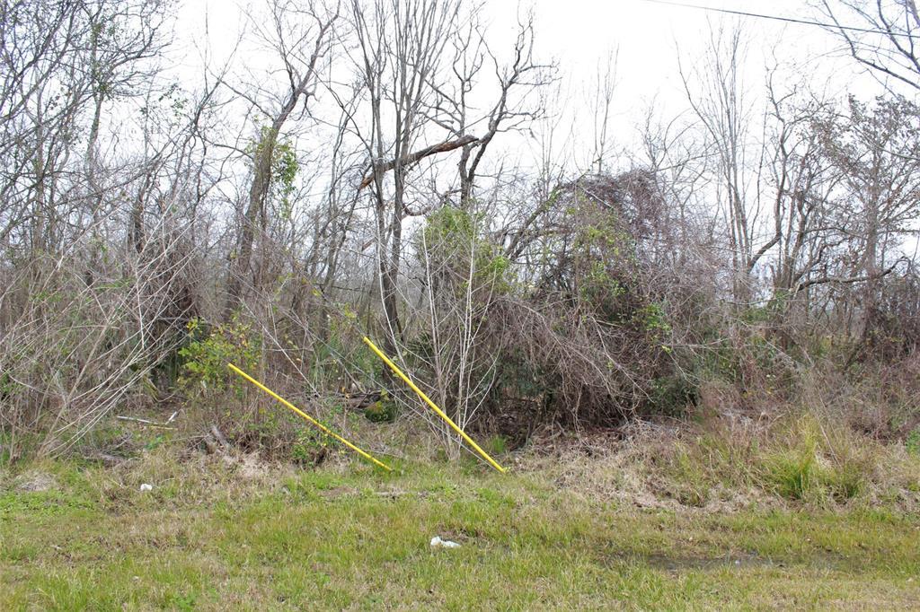 LOT 31 Highland Shores Road - Photo 1