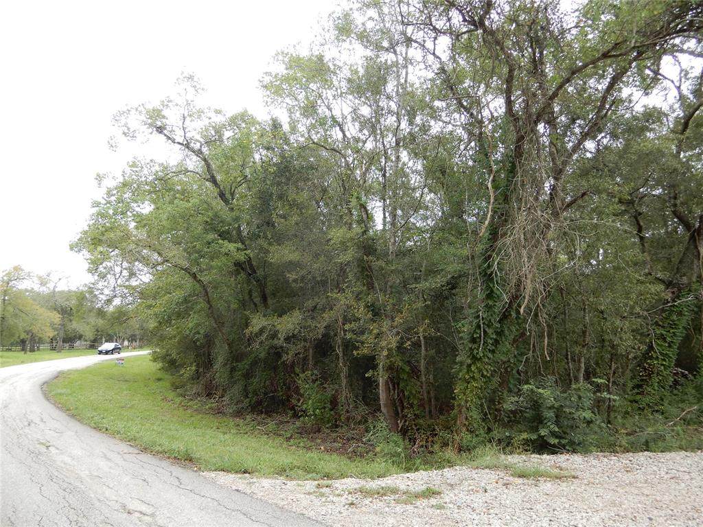 0 Wickwillow - Photo 1