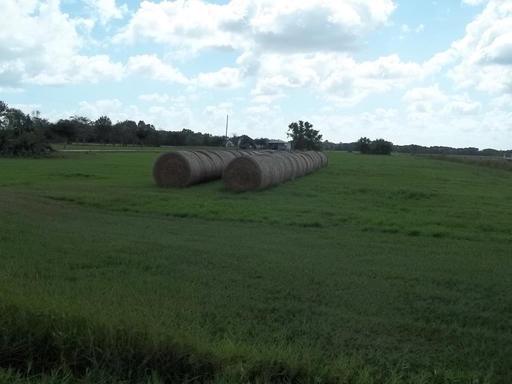 0 County Road 207 - Photo 1