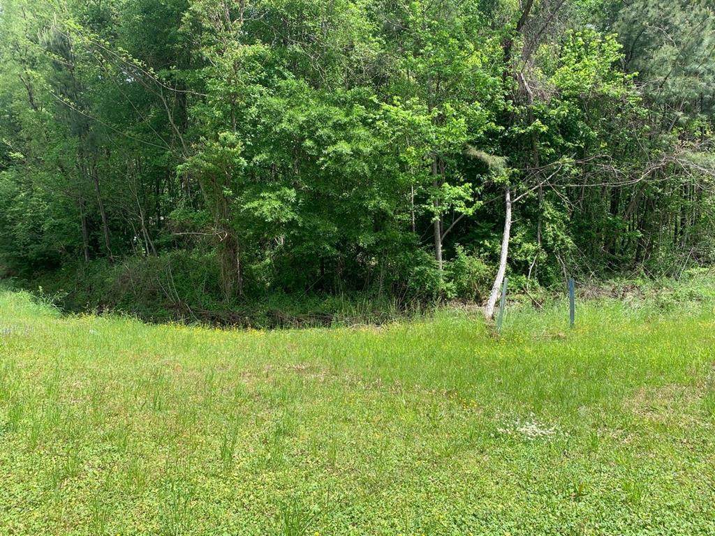 0 Highway 63 - Photo 1