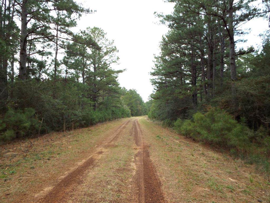 Lot 4 Jackrabbit - Photo 1