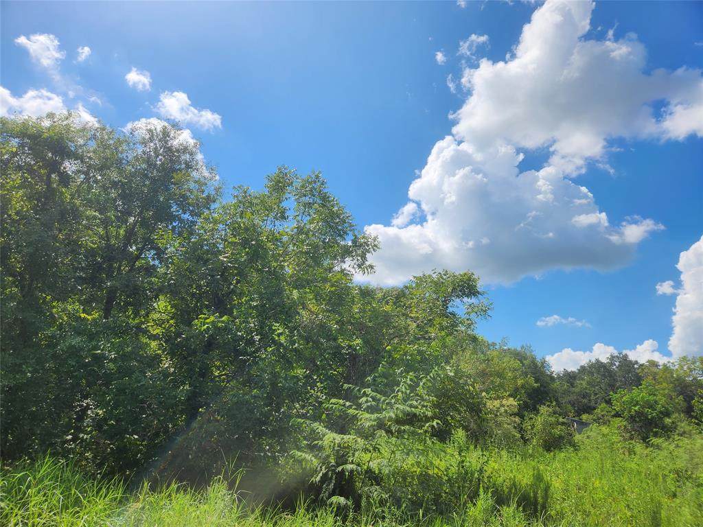 1 County Road 748 Nar - Photo 1