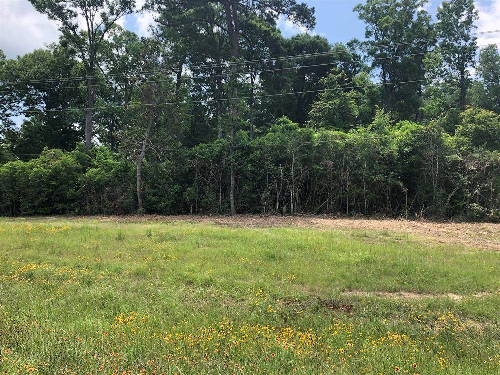 TBD Hwy 59 North Highway - Photo 1