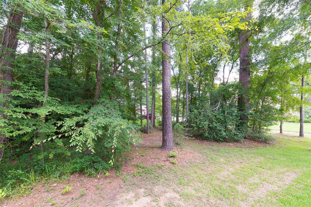 121 Pine Branch Drive - Photo 1
