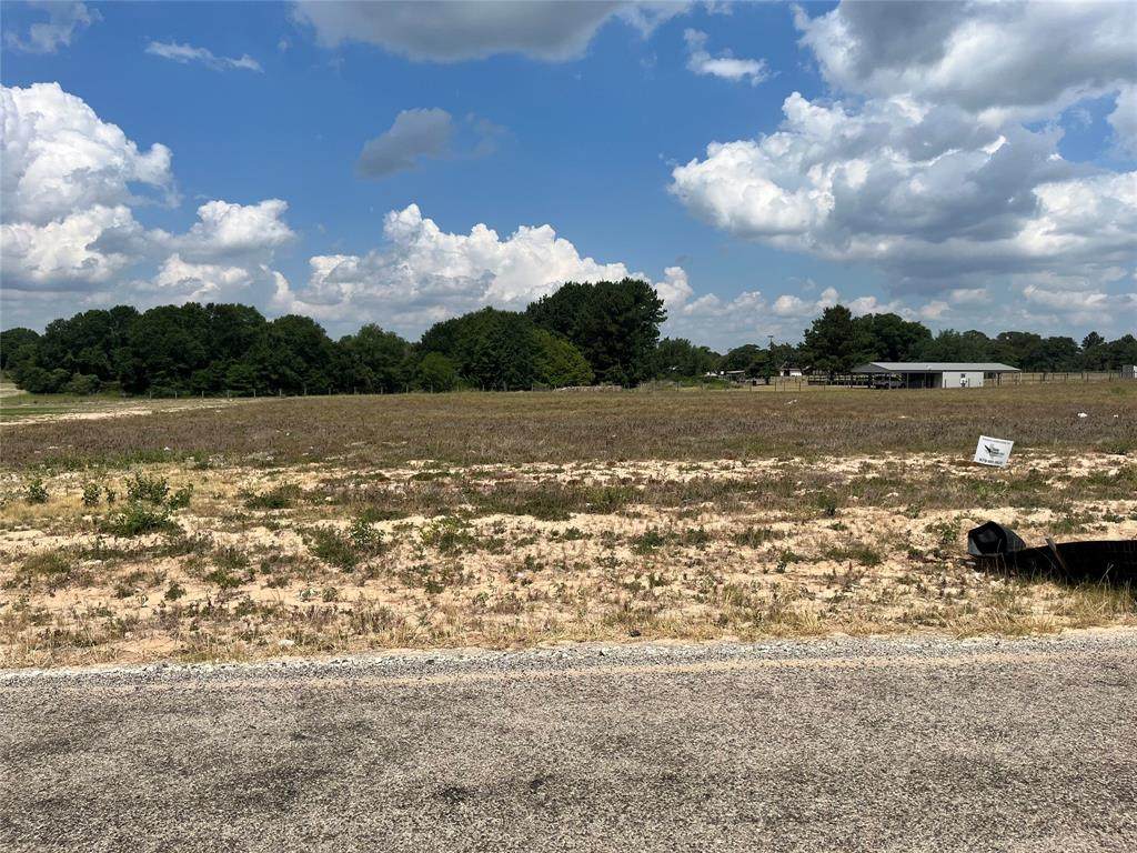 250 Randi Road - Photo 1