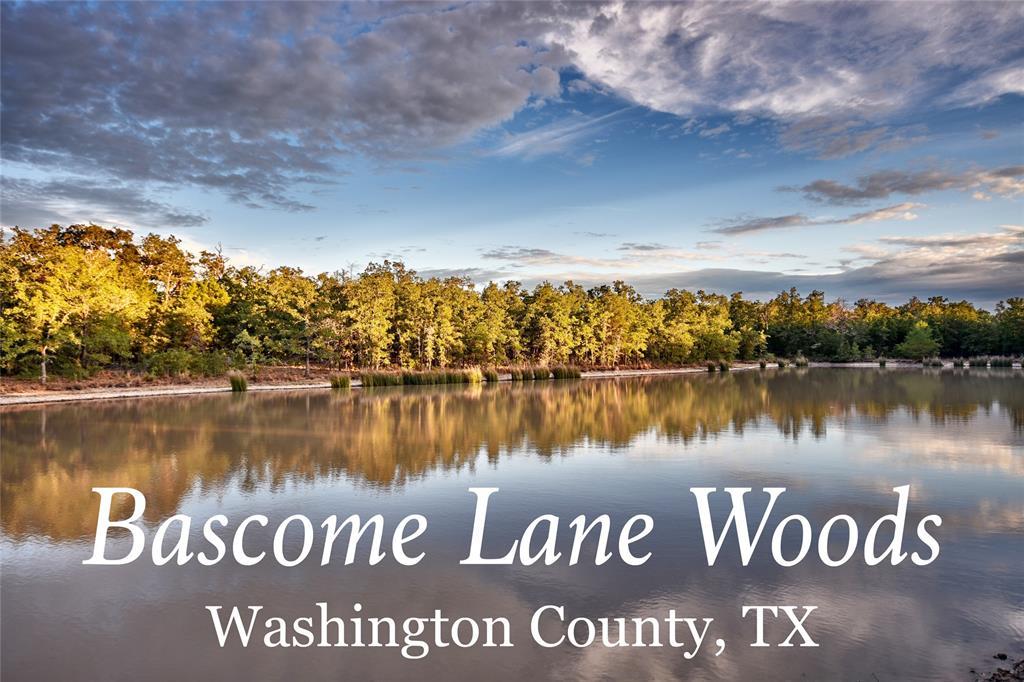 4575 Bascome Lane - Photo 1