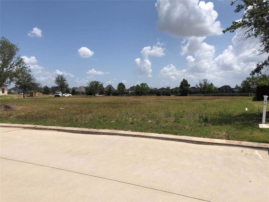 7311 Palmetto Springs Trail - Photo 1