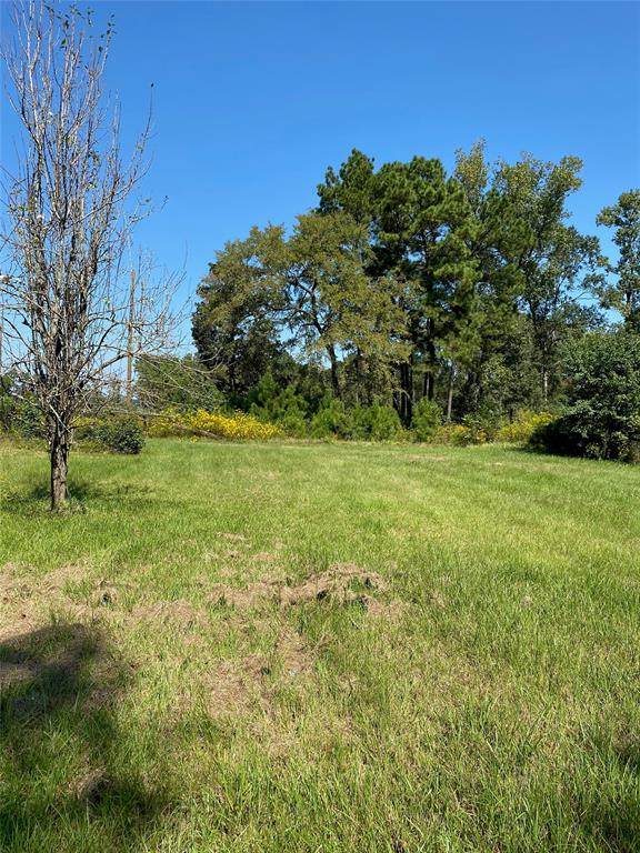 8195 Fm 1010 Road - Photo 1