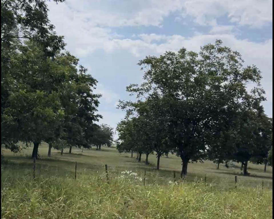 Tract #2 Fm 2548 - Photo 1