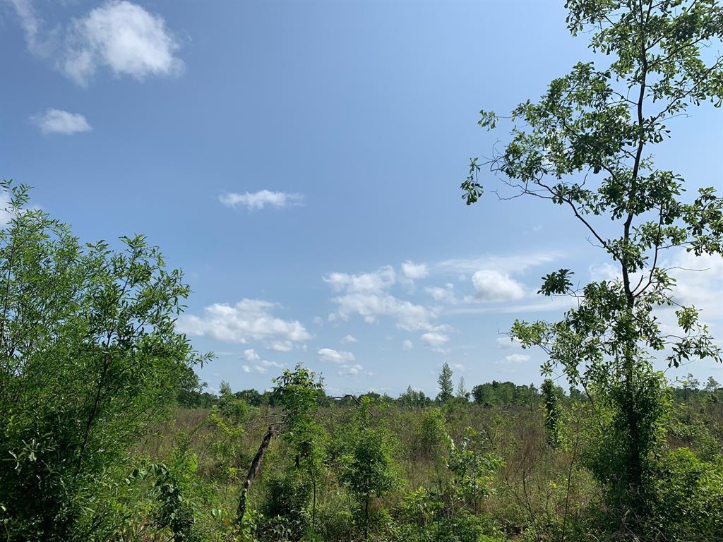 00000 Cr 4280 - Photo 1