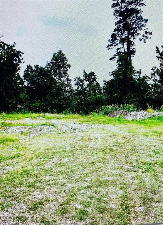 0 Balsam Lane - Photo 1