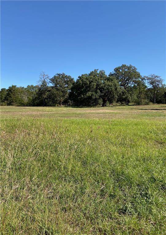 439 Ellinger Road - Photo 1