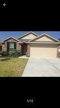 23607 Umbrella Pine Drive - Photo 1