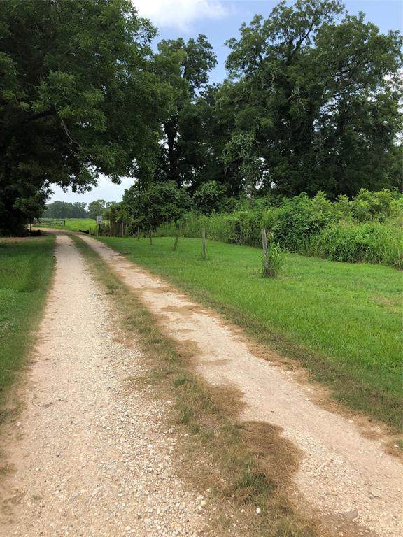 00 County Rd 118 Stubblefield - Photo 1