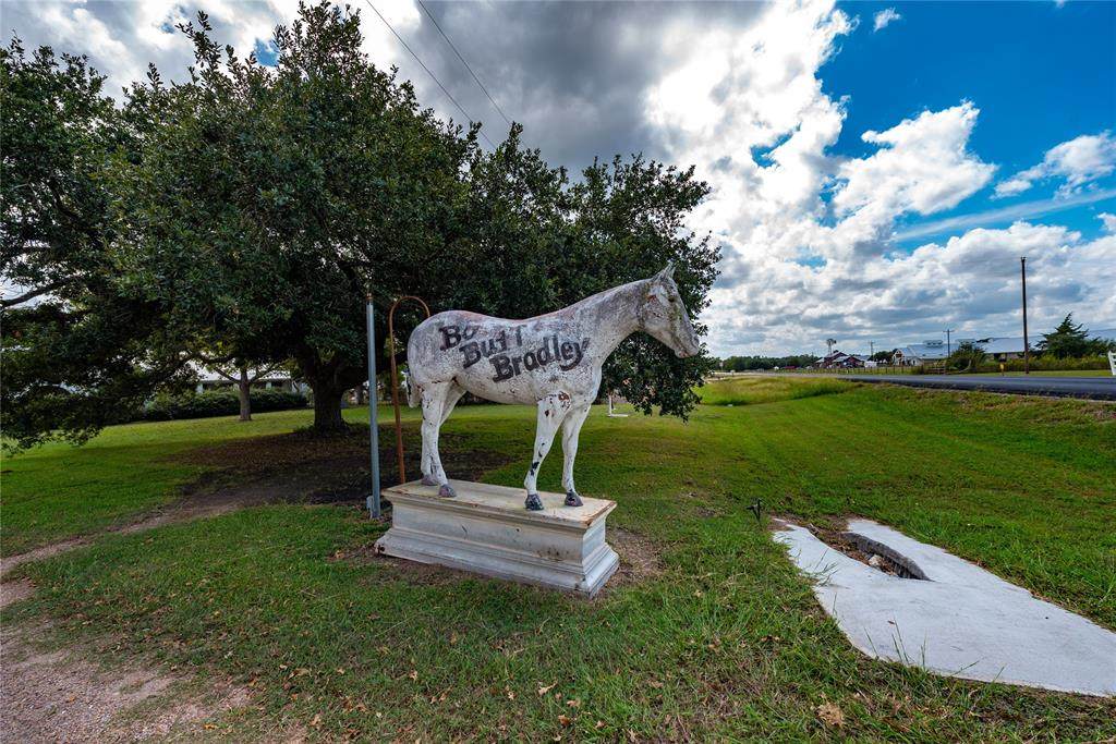 2249 Texas Hwy 237 Highway - Photo 1