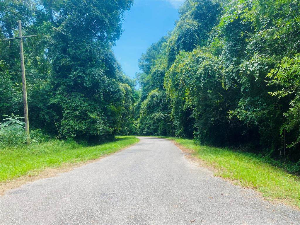 000 Magnolia Lane - Photo 1