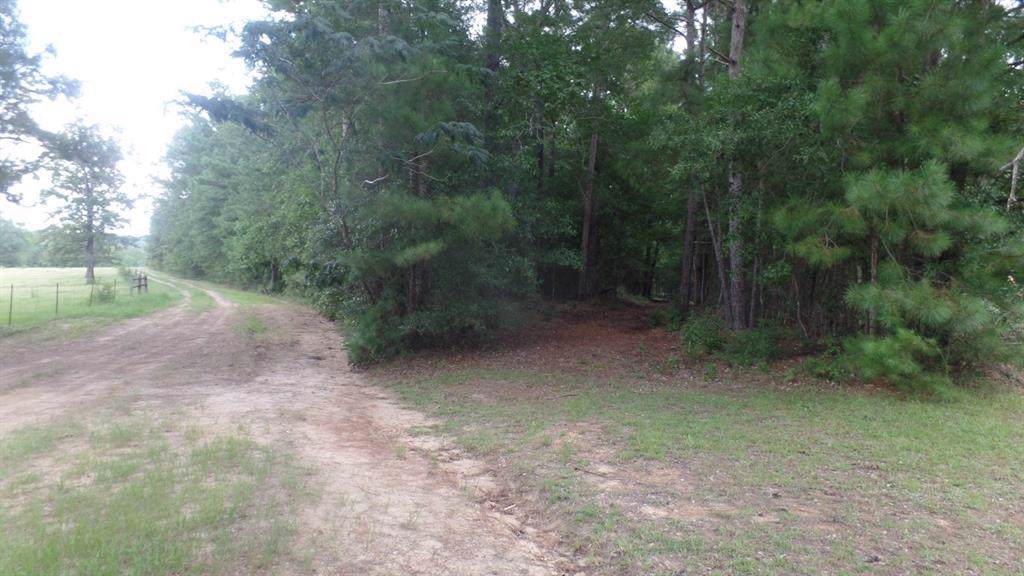 7.74 County Road 4210 - Photo 1