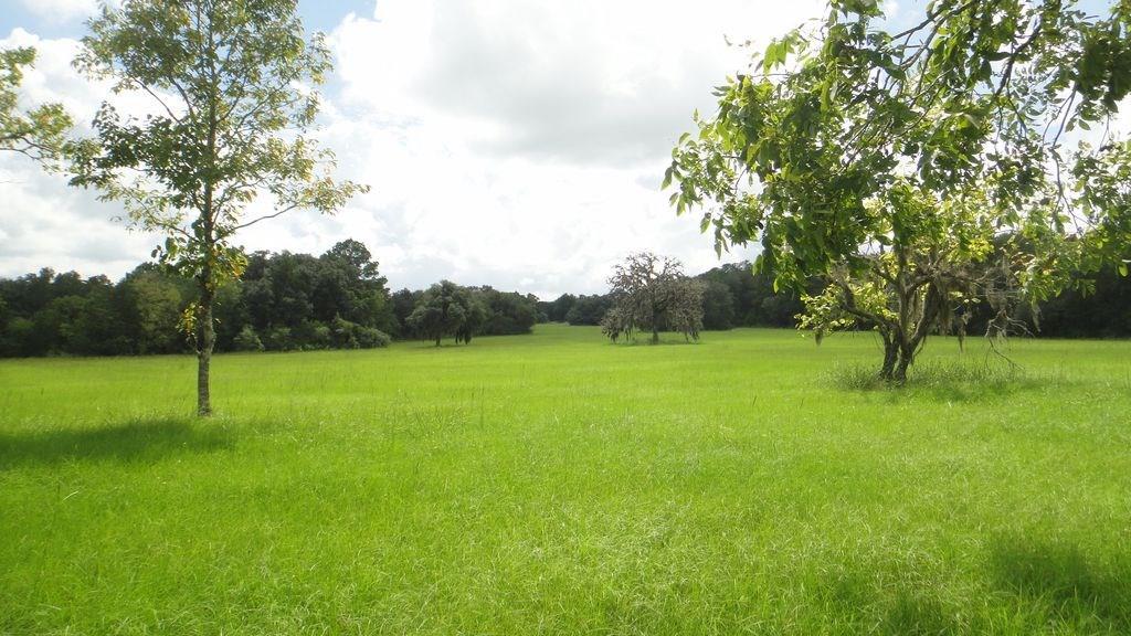 1025 Piper League Rd - Photo 1