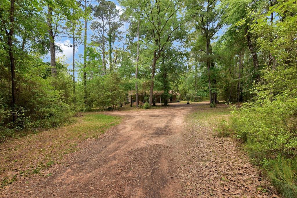 21152 Country Pines Road - Photo 1