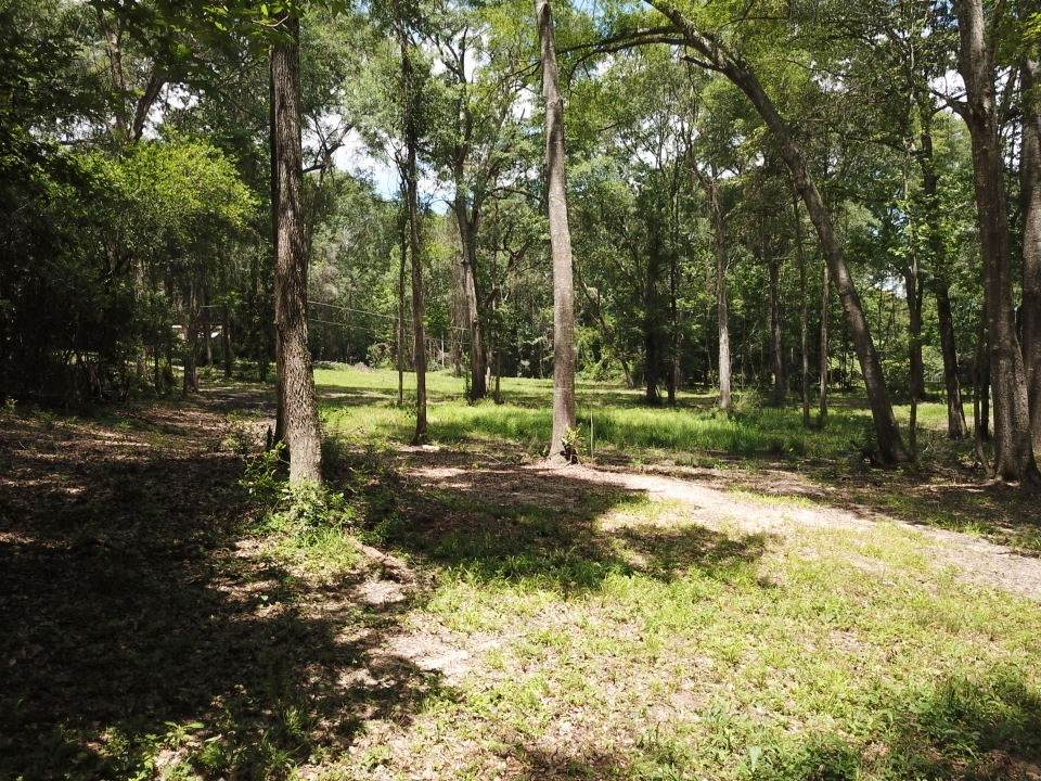 9.57 Acres Hwy 69 N - Photo 1