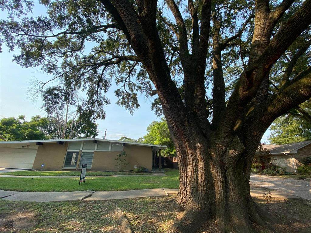 6214 Reamer Street - Photo 1