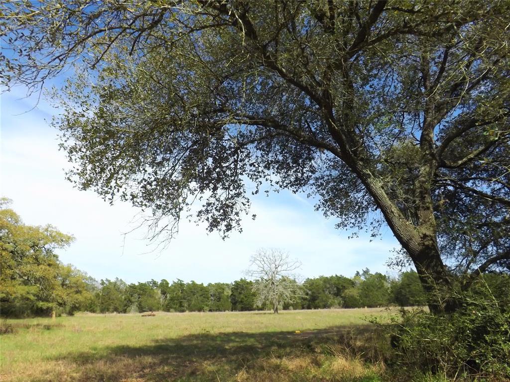 1297 Frelsburg Road - Photo 1