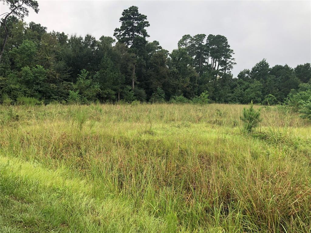 LOT 29 Wedgewood Drive - Photo 1