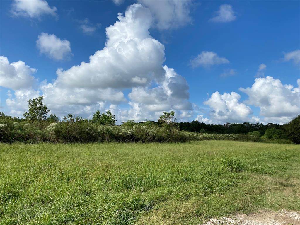 tbd County Road 81 - Photo 1
