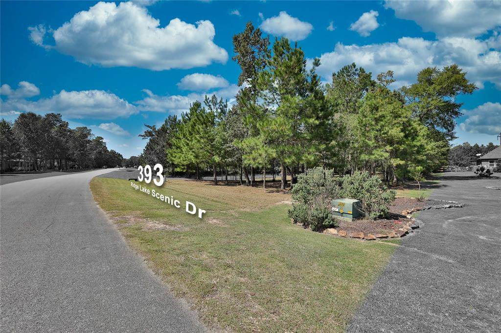 393 Ridge Lake Scenic Drive - Photo 1