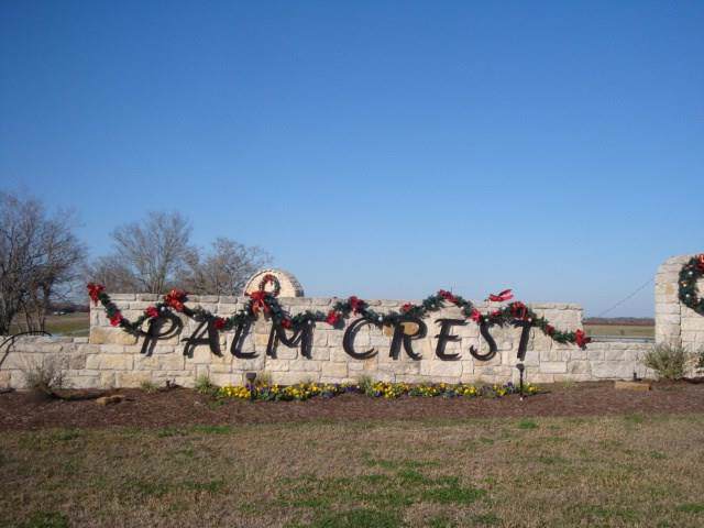 3918 Palm Crest Drive - Photo 1