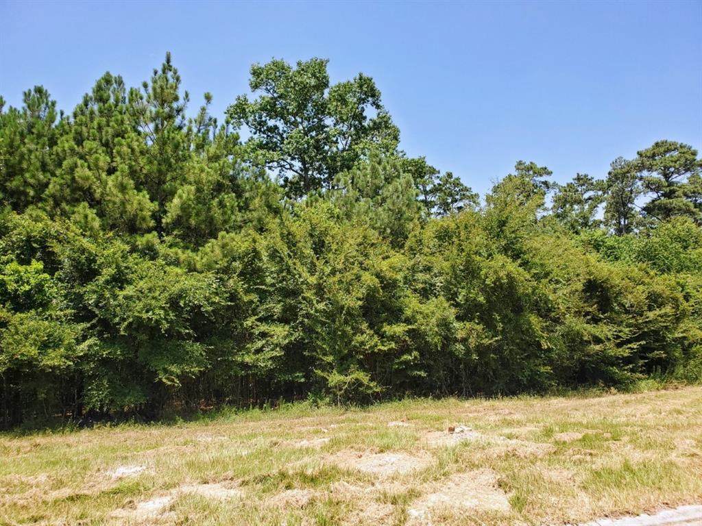 24915 Nelson Bridge Drive - Photo 1