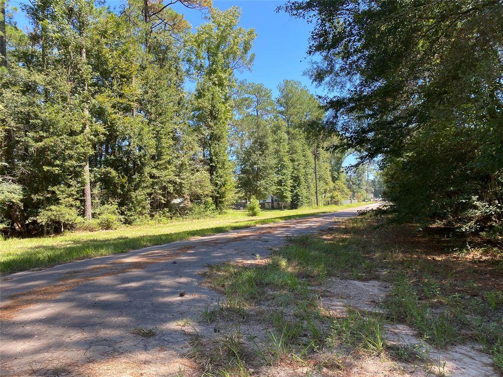 0 Birch Lane - Photo 1