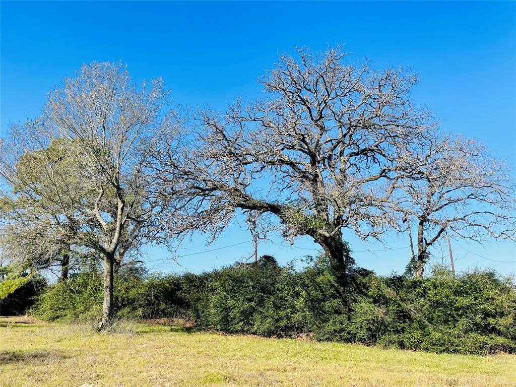 10AC Cr 212 - Photo 1